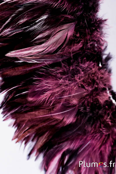 Frange coq - long. plumes 10-15 cm - café